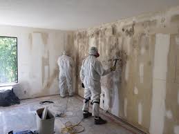 Best Mold Prevention Services  in Morganville, NJ